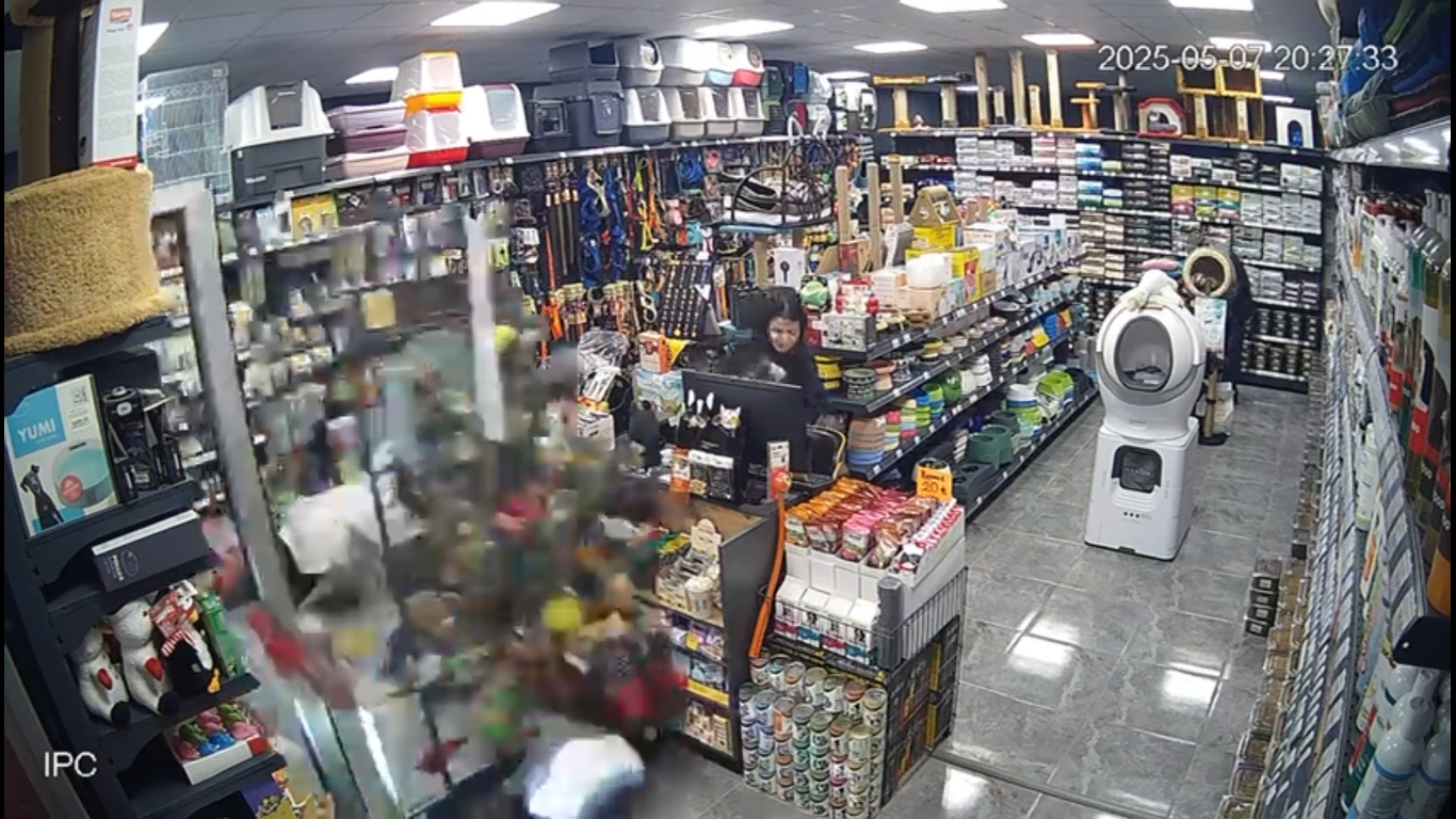 Motosiklet kadın sürücüsü ile birlikte petshop mağazasının camından içeriye daldı