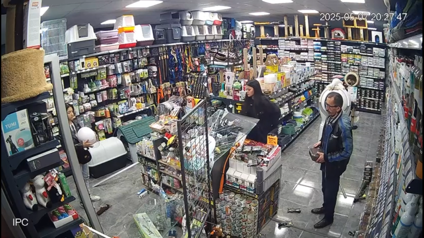 Motosiklet kadın sürücüsü ile birlikte petshop mağazasının camından içeriye daldı