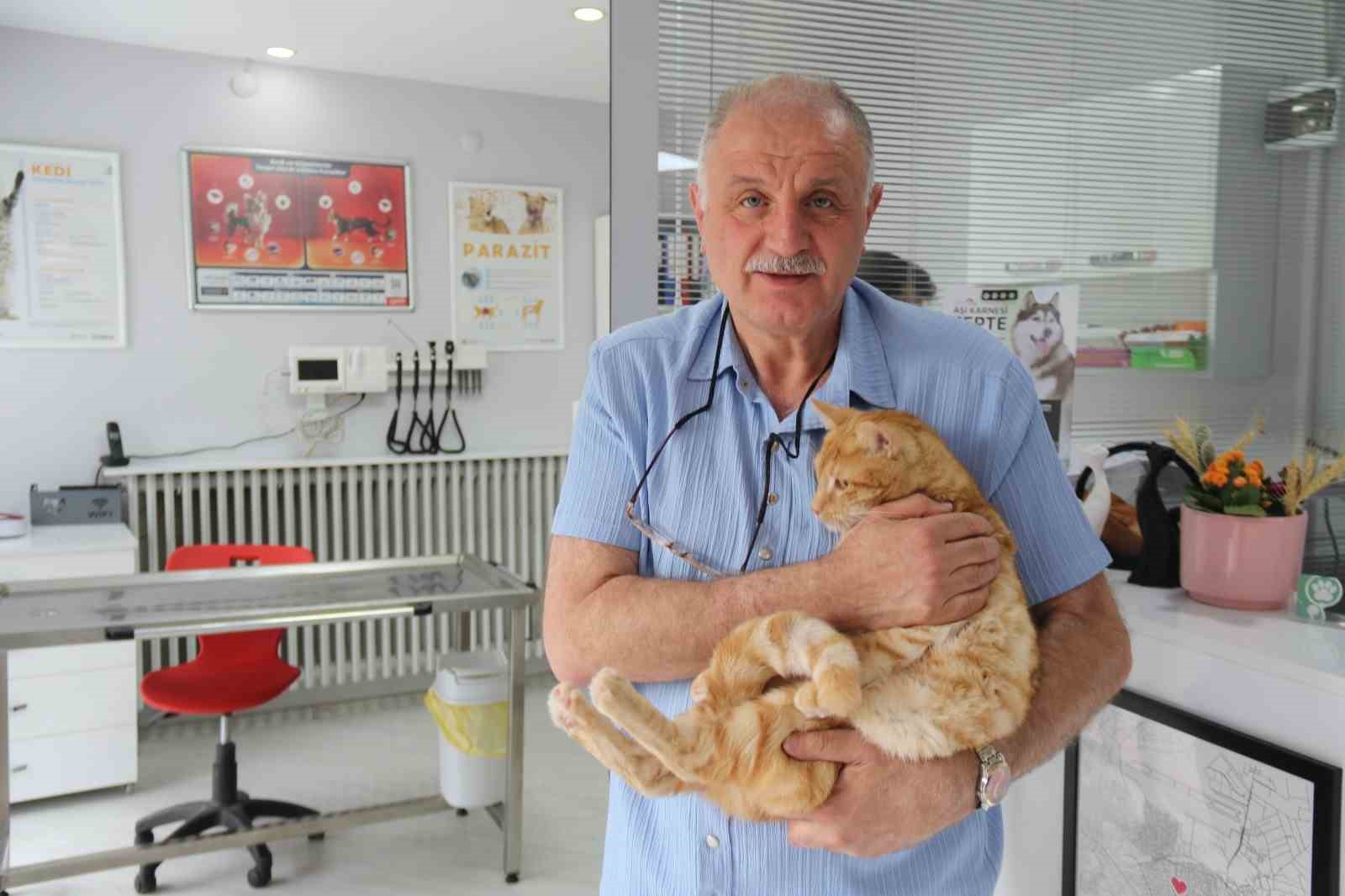 Kedisini veterinere yetiştirmeye çalışırken trafik cezası yedi, itiraz etti