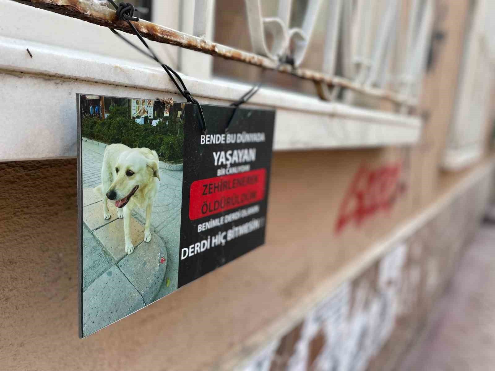 Zehirlendiği iddia edilen köpeğin fotoğrafıyla asılan not göze çarptı