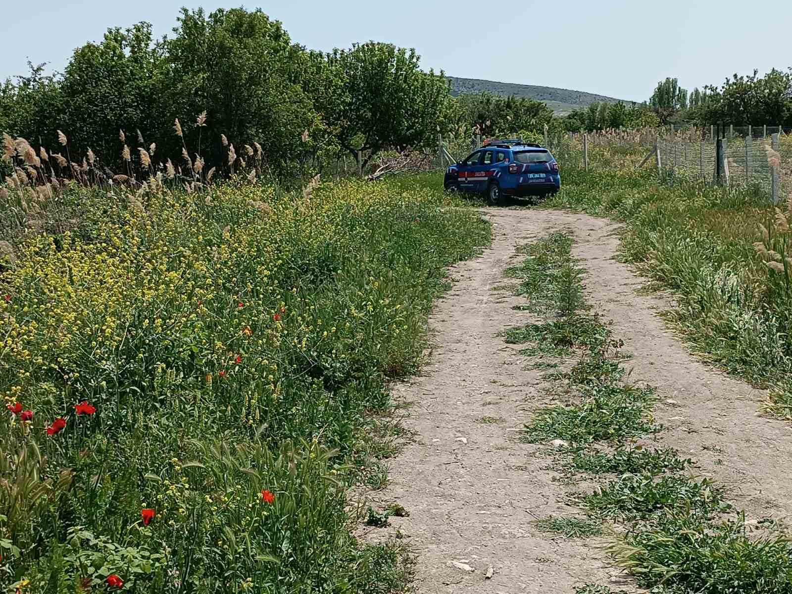 (ÖZEL) Tarihi hamam kalıntıları arasındaki süs balıklarını kaçak avlayanlara suç üstü