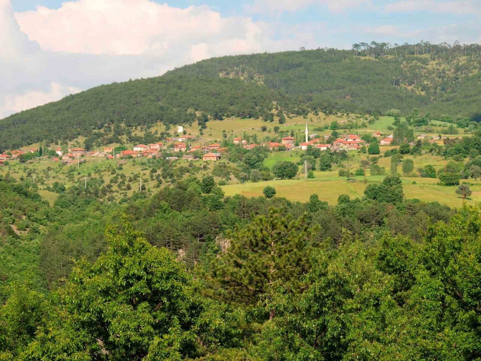 Eskişehir ve Afyonkarahisar’da ormanlık alanlara girişler yasaklanıyor