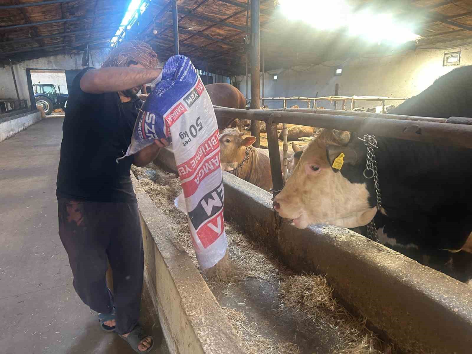 Bayrama sayılı günler kala bazı üreticide kurbanlık hayvanlar tükendi