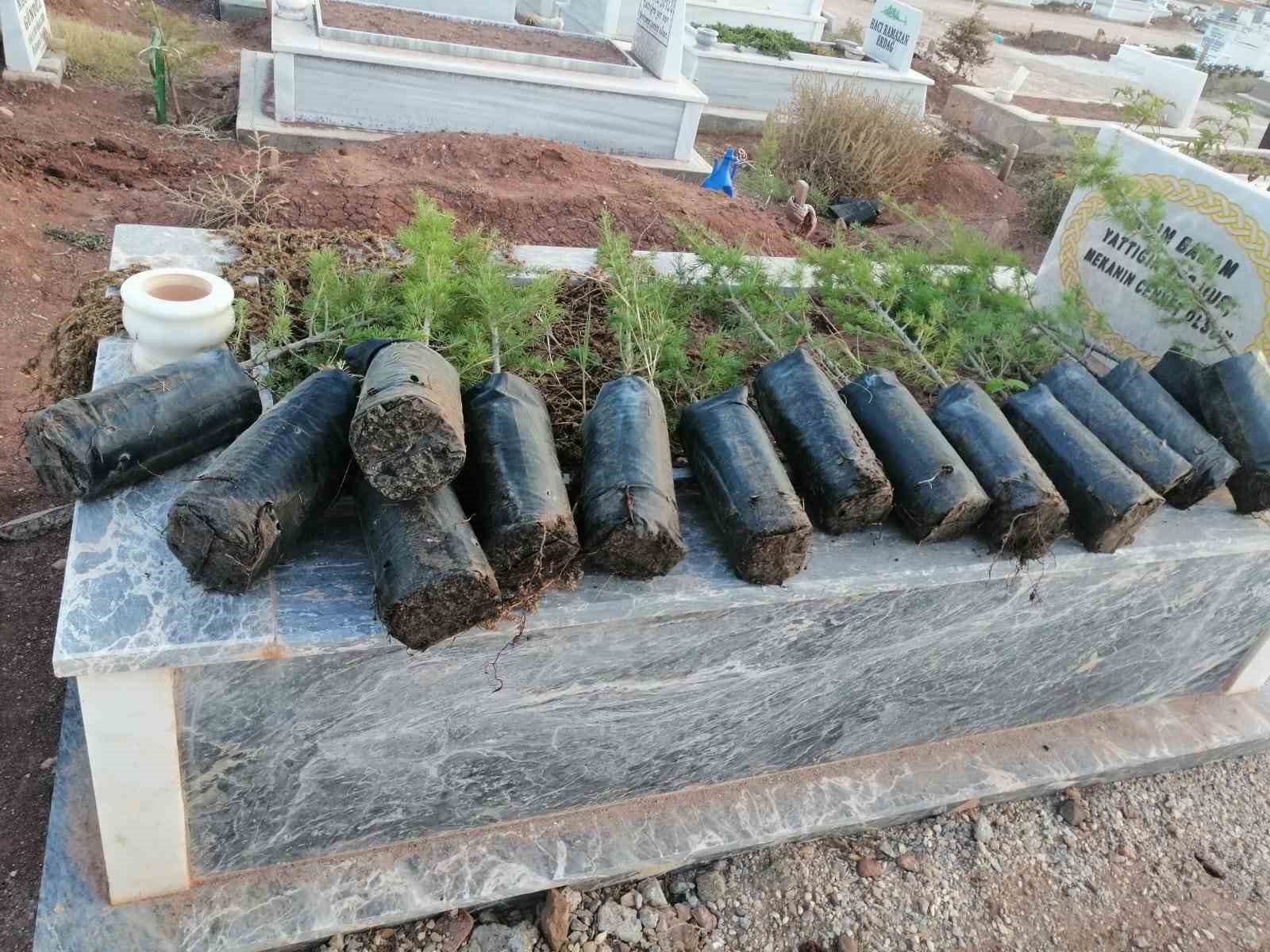 Anneler Günü’nde mezarlıkları yeşillendirdiler