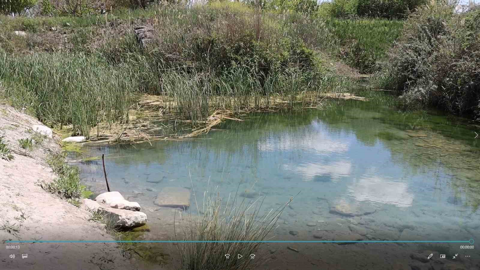 Bu canlı akvaryum turizme kazandırılmayı bekliyor