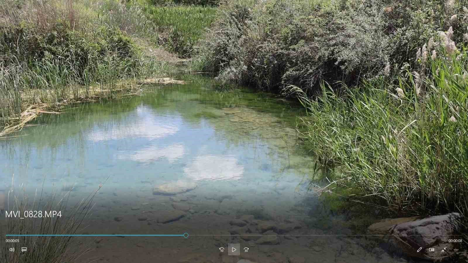 Bu canlı akvaryum turizme kazandırılmayı bekliyor