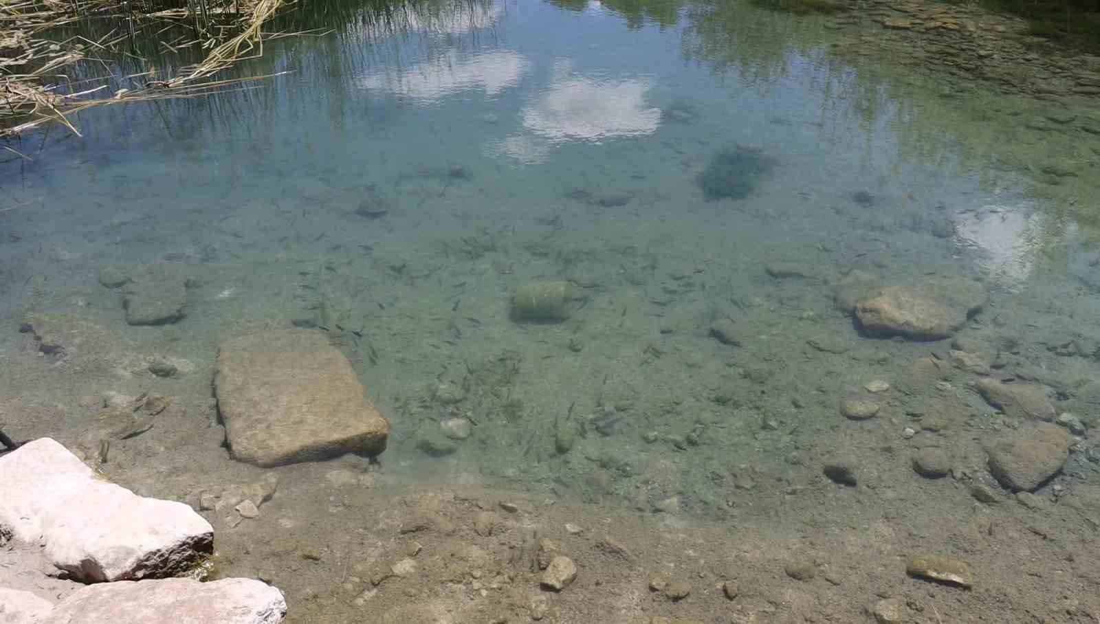 Bu canlı akvaryum turizme kazandırılmayı bekliyor