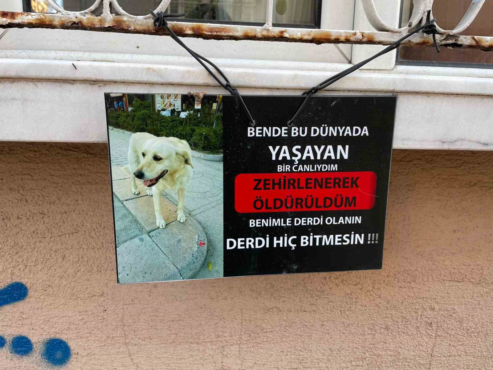 Zehirlendiği iddia edilen köpeğin fotoğrafıyla asılan not göze çarptı