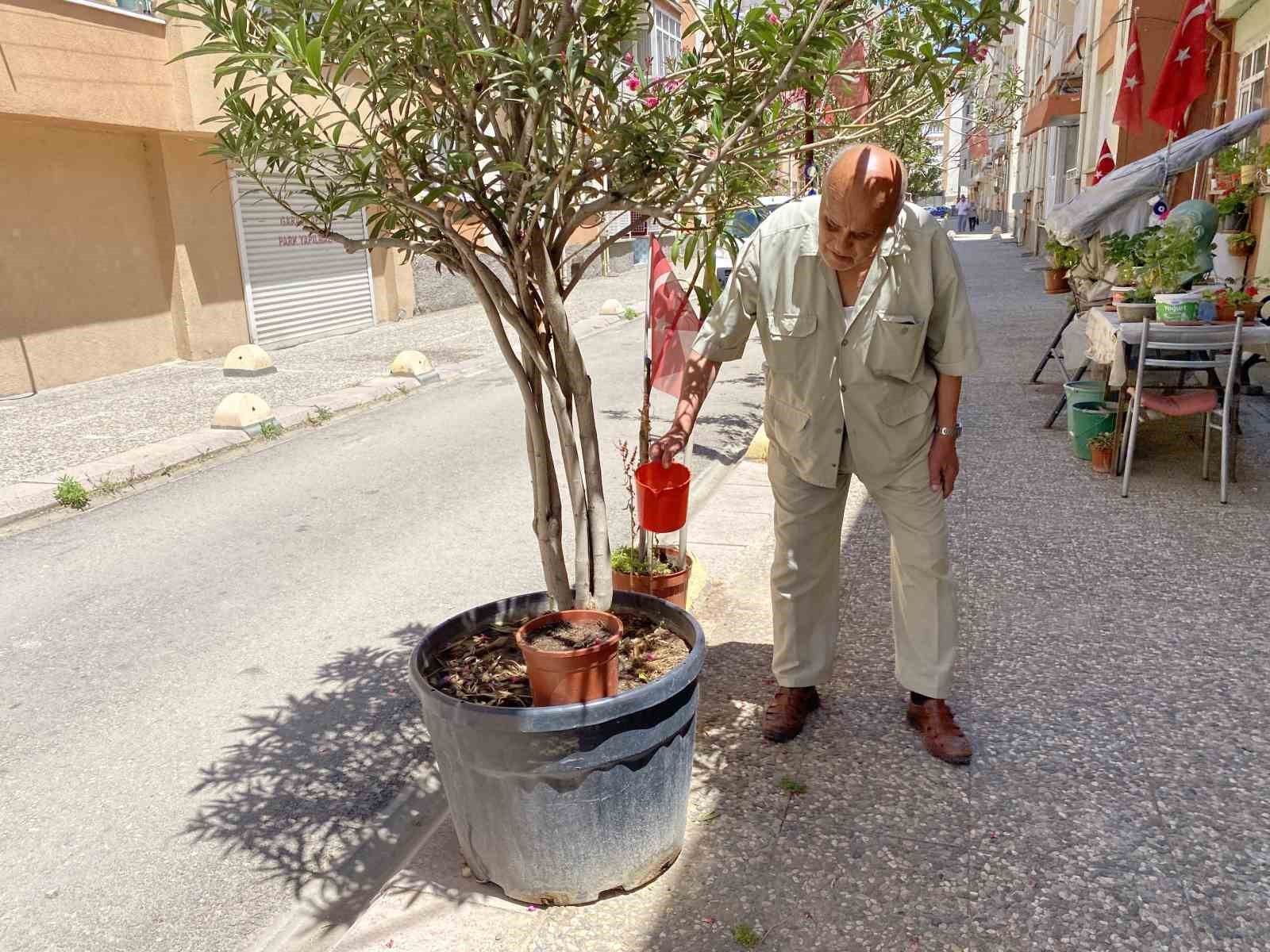 ’Sevgililer ve Aşıklar Parkı’nı eski görünümüne kavuşturdu