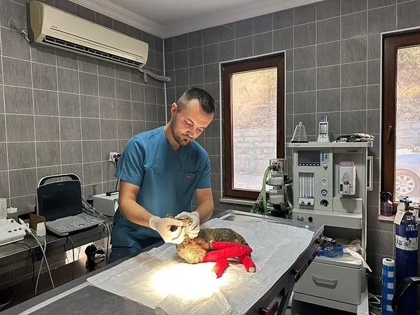 Yangının Küllerinden Bir Mucize: “Umut” Artık Güvende