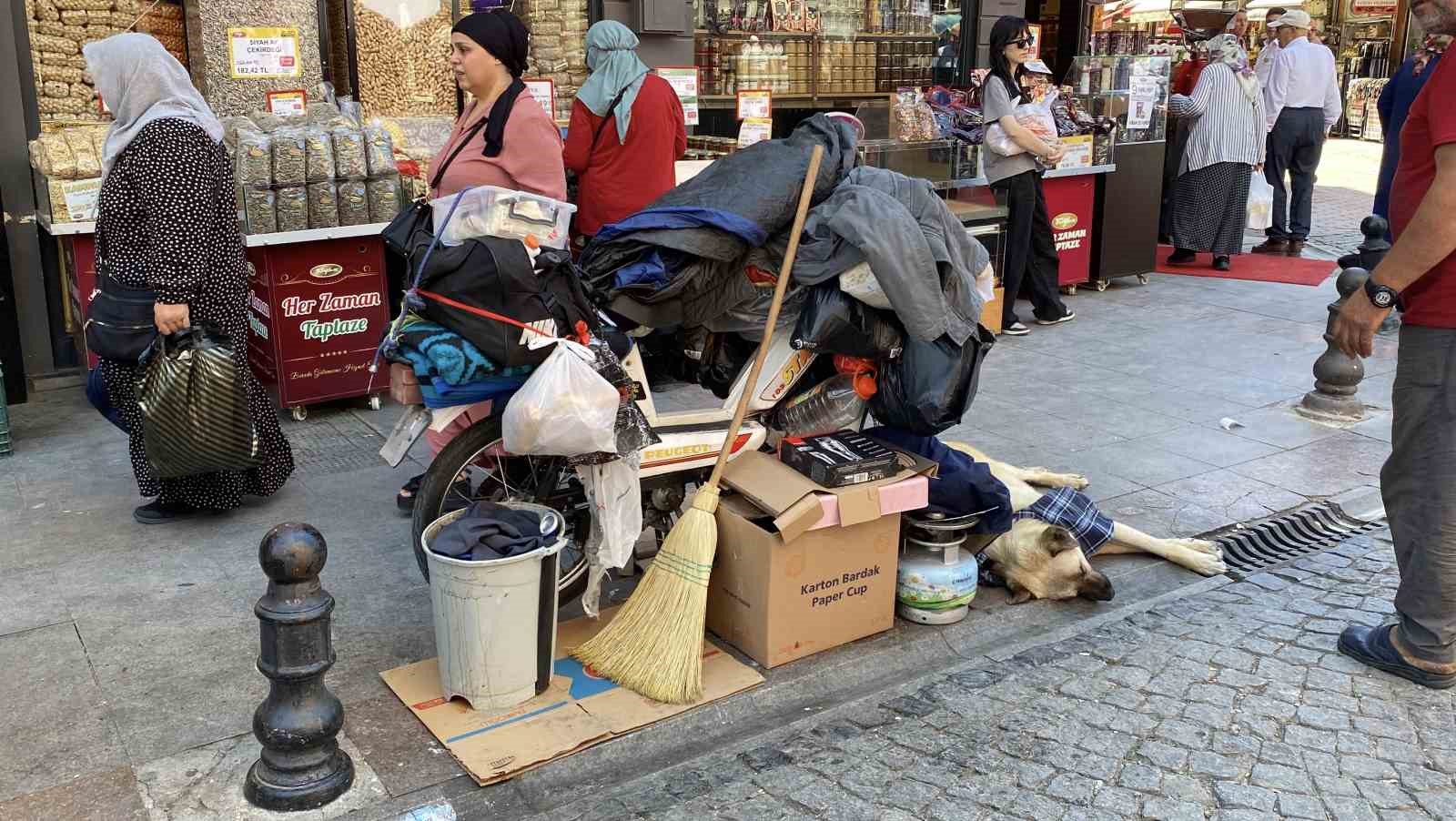 Çadırda civcivlerle zorlu yaşam