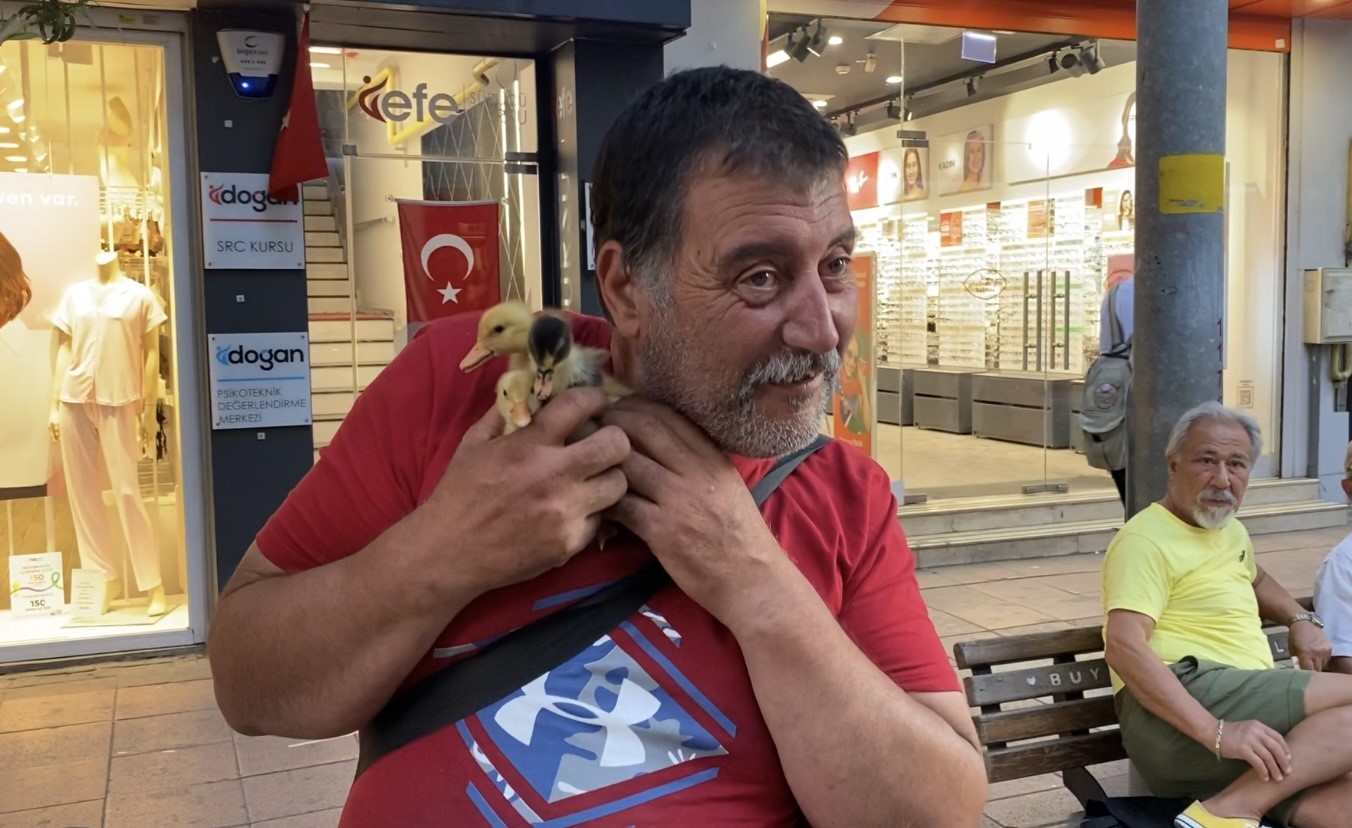 Çadırda civcivlerle zorlu yaşam