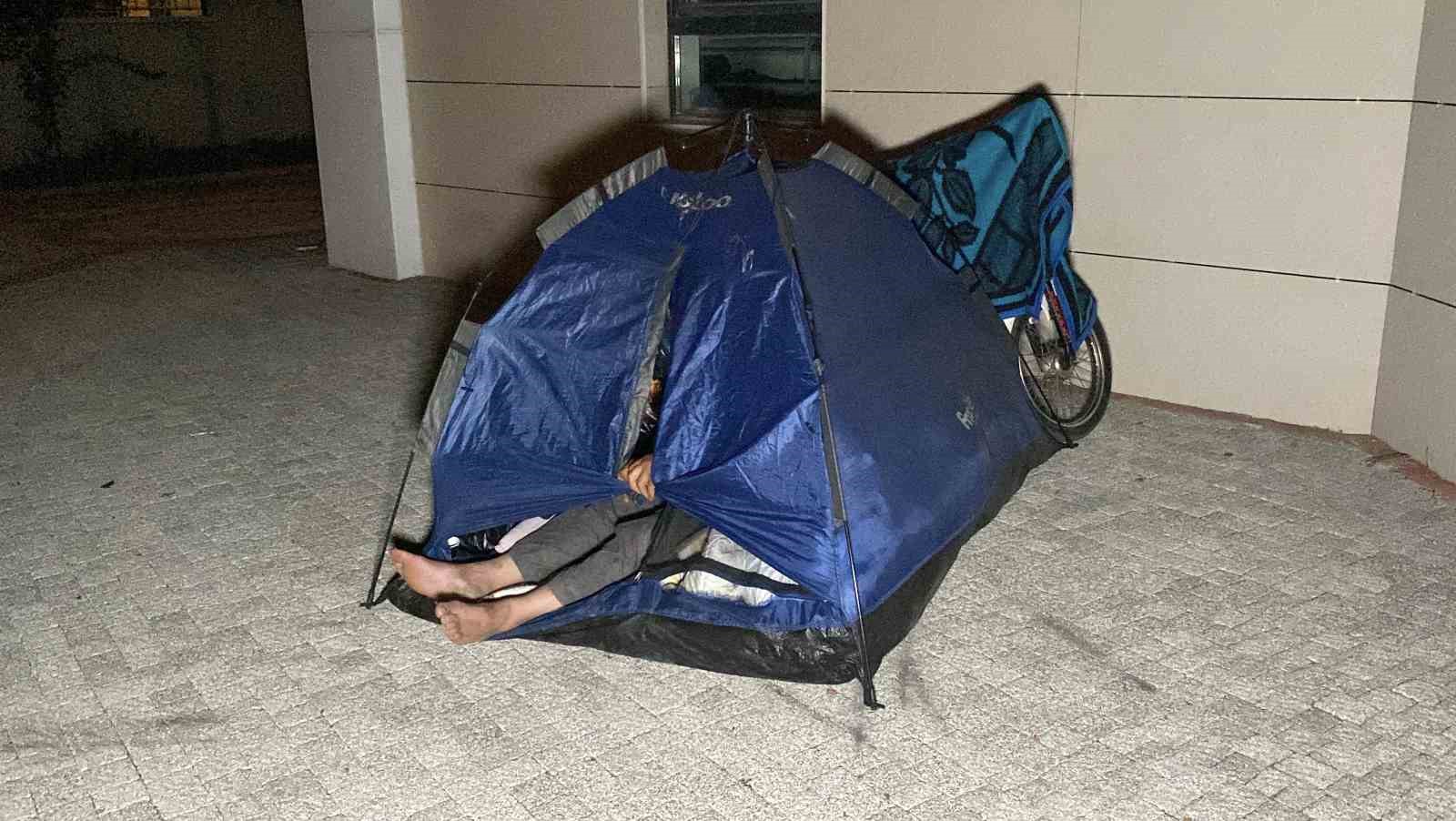 Çadırda civcivlerle zorlu yaşam