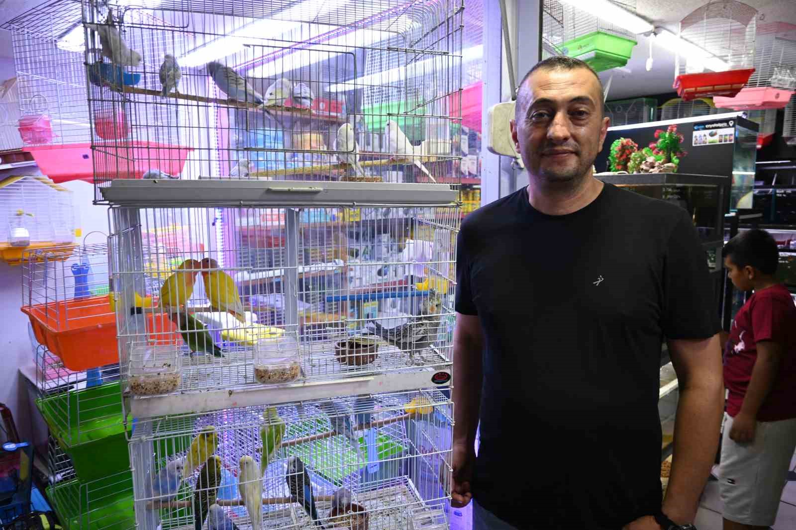 Yaz sıcaklarında evlerde balık ve kuş bakımı
