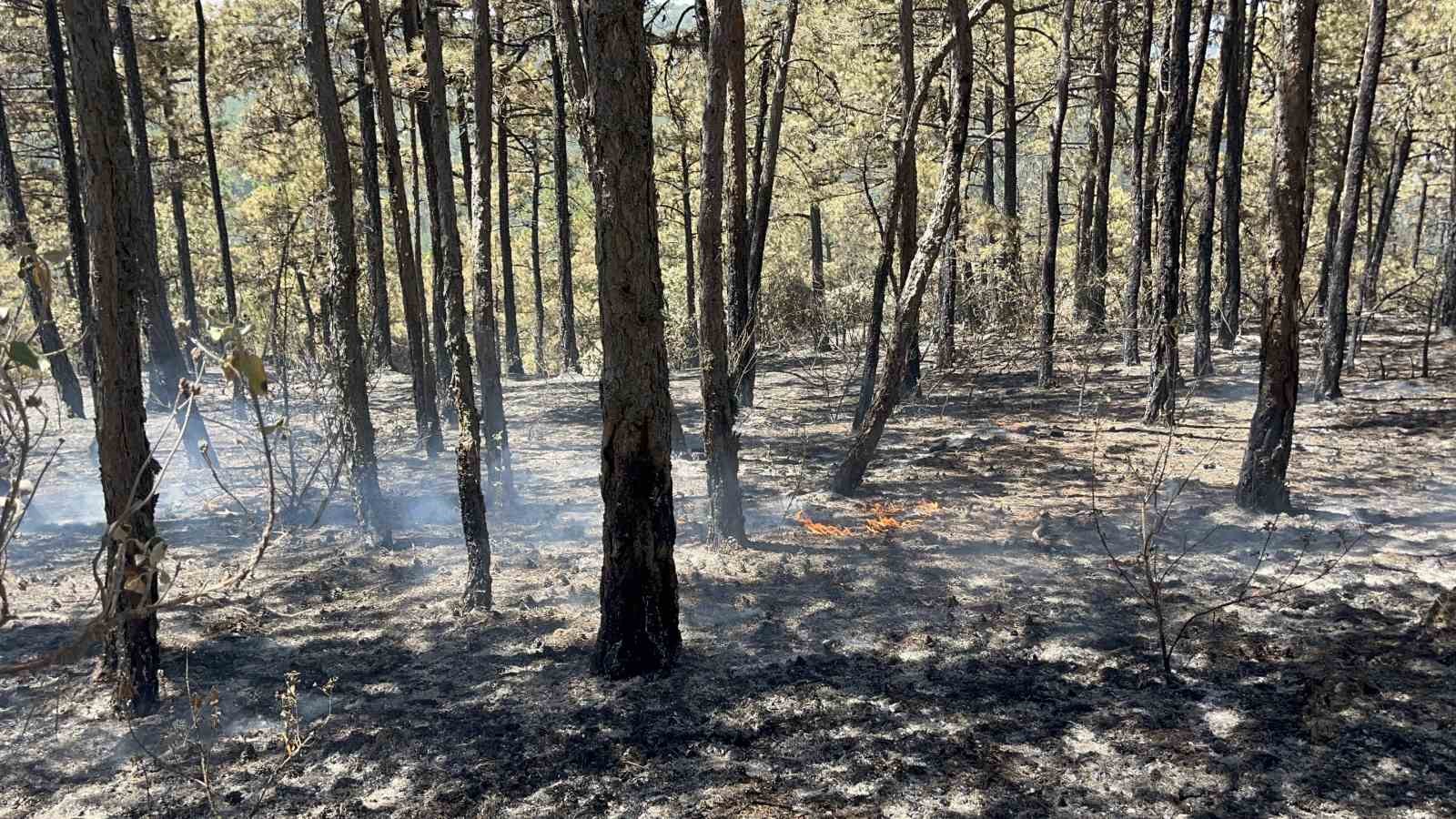 Eskişehir’deki yangının 30’uncu saatinde kontrol altına alın bazı bölgelerde yeniden alevler yükseldi