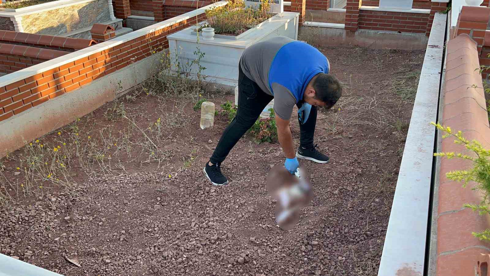 Mezarlığa gömülen köpek leşi ekipleri alarma geçirdi