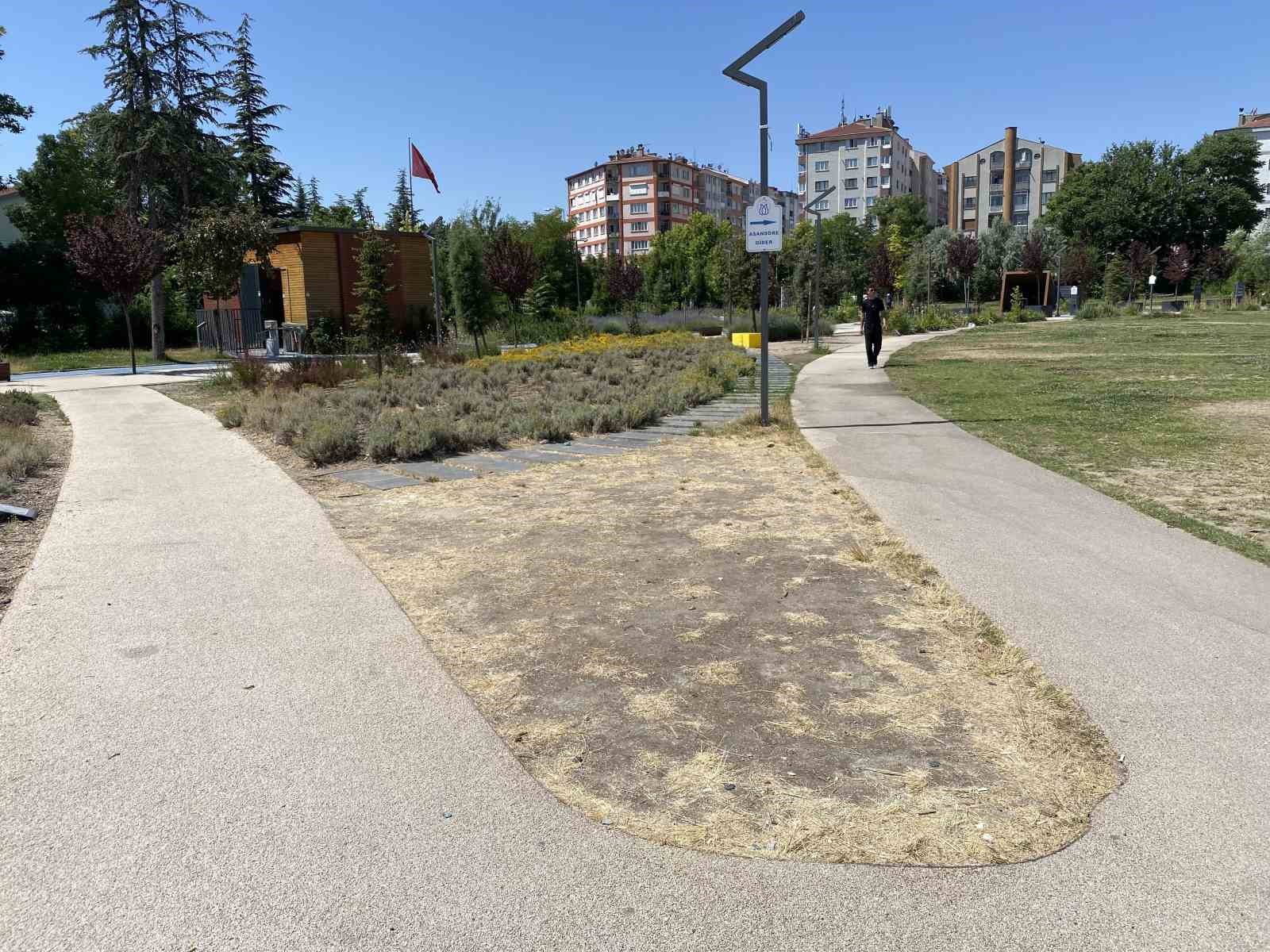 Eskişehir Recep Tayyip Erdoğan Millet Bahçesi’nde Vahim Görüntü