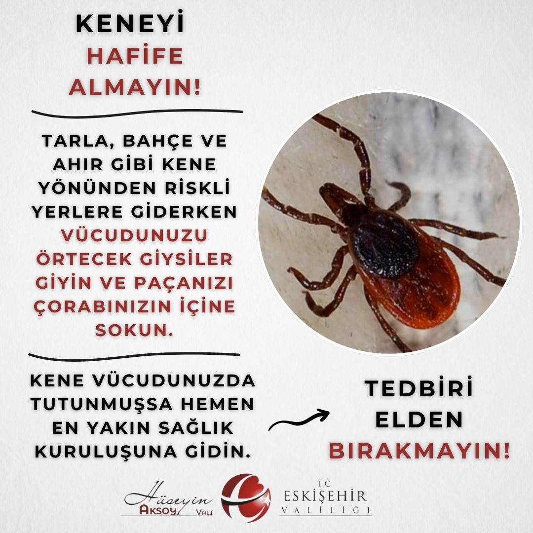 Eskişehir Valiliği’nden Kritik Kene Uyarısı: Tedbirlerinizi Alın