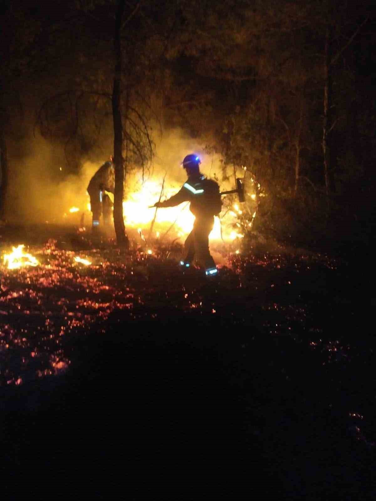 AKUT Eskişehir ekibi yanmak üzere olan hayvanları kurtardı