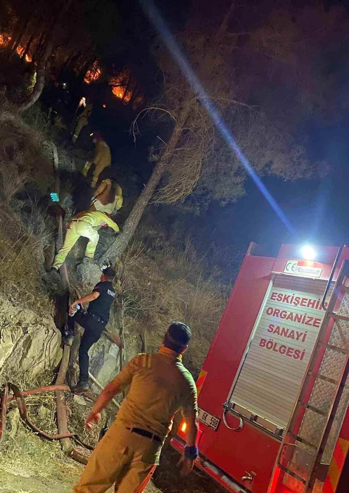 AKUT Eskişehir ekibi yanmak üzere olan hayvanları kurtardı