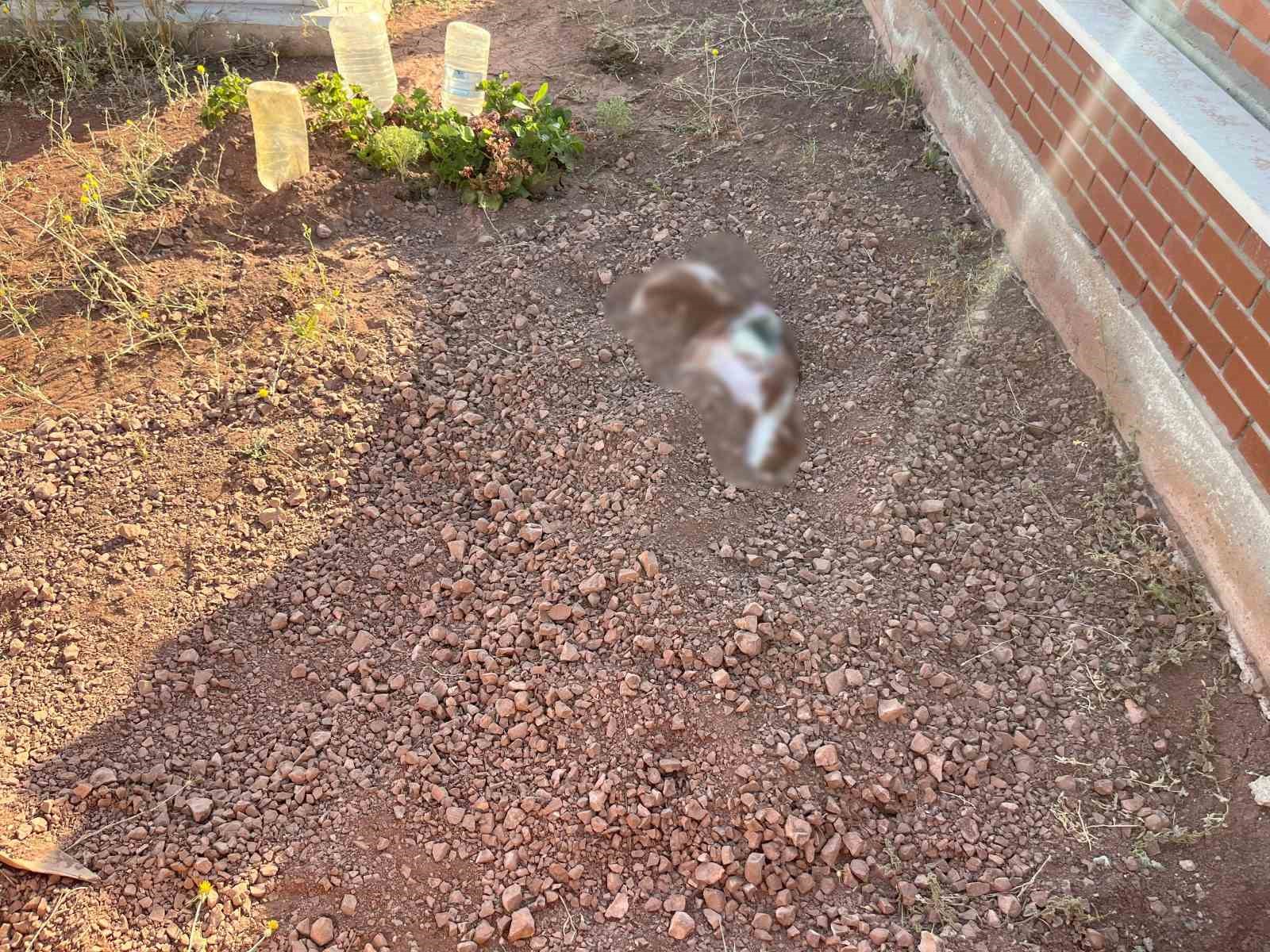 Kefene Sarılı Cisim Jandarmayı Alarma Geçirdi: Gerçek Başka Çıktı