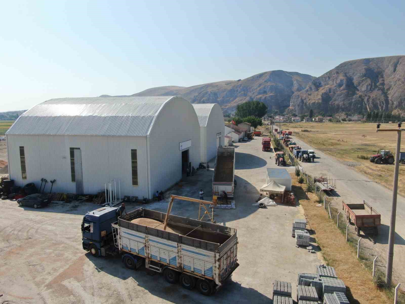 Çiftçiye Bir Nefes Daha: TMO Alımları İnönü’de Başladı!