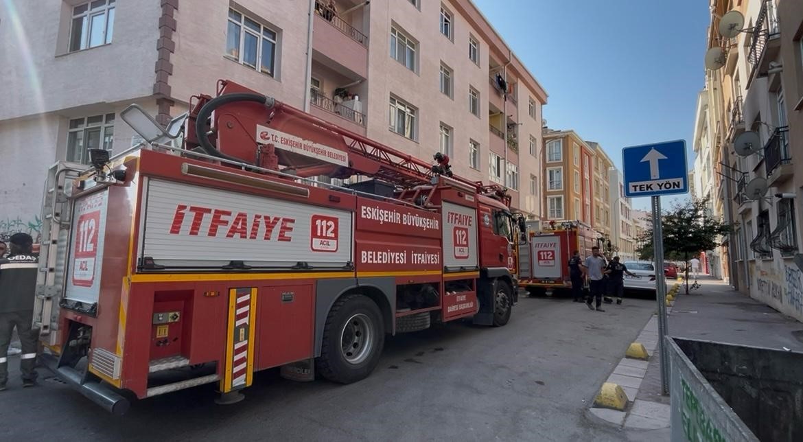 Tepebaşı’nda Yangın Faciası Paniğe Yol Açtı: 2 Kedi Tedavi Altında