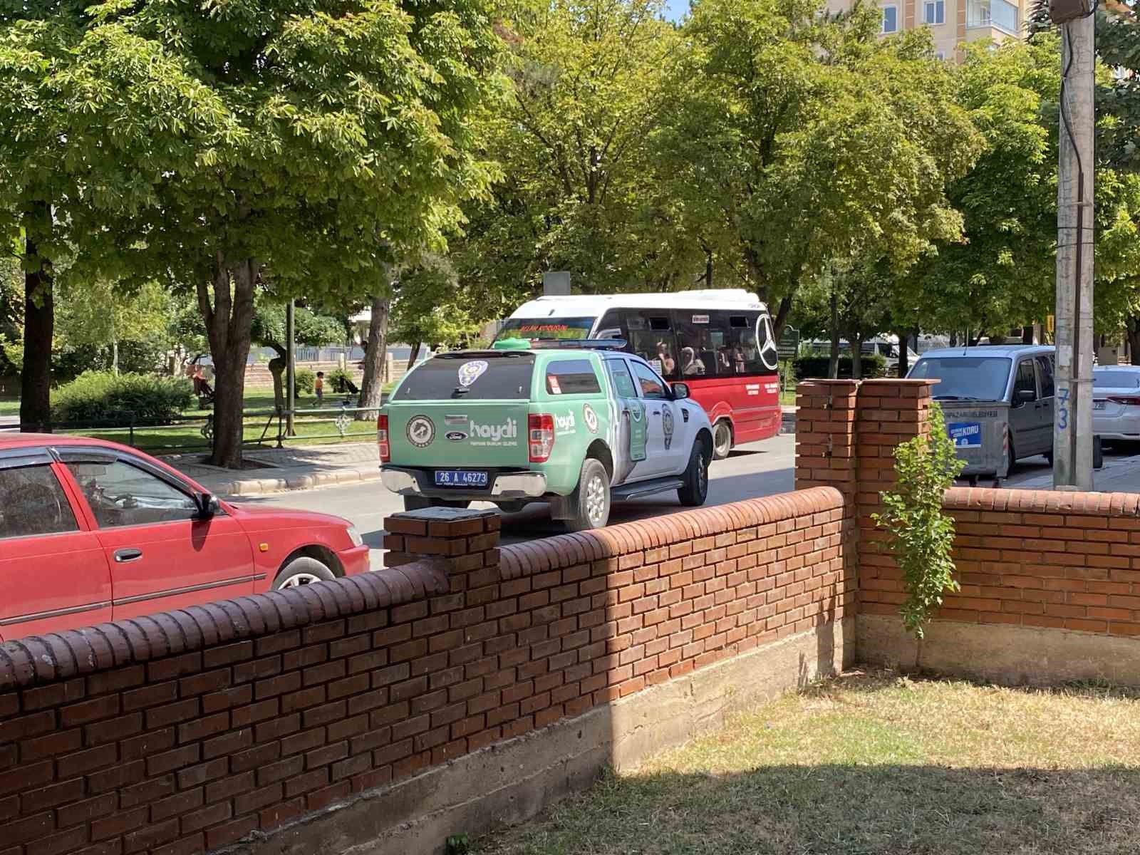 Polis ekipleri kedi ölümleriyle ilgili çalışma başlattı