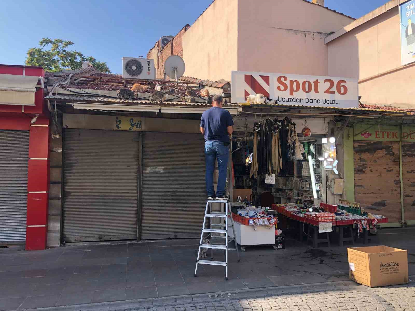 Eskişehir’de esnaf hergün çatıya tırmanıp kedileri besliyor