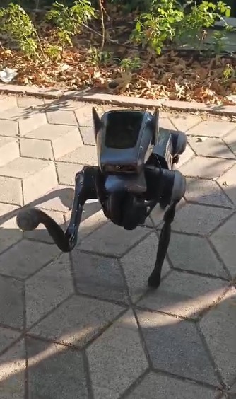 Kent merkezindeki robot köpek görenleri hayrete düşürdü