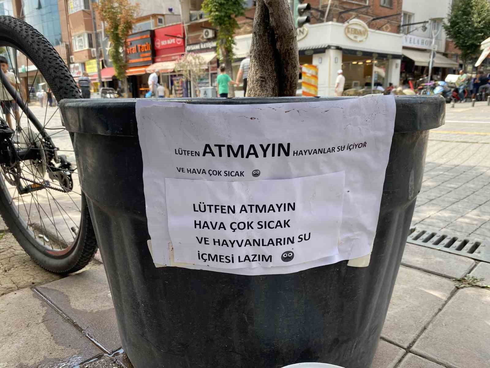 Hayvansever vatandaşın kibar uyarı yazısı görenleri gülümsetti