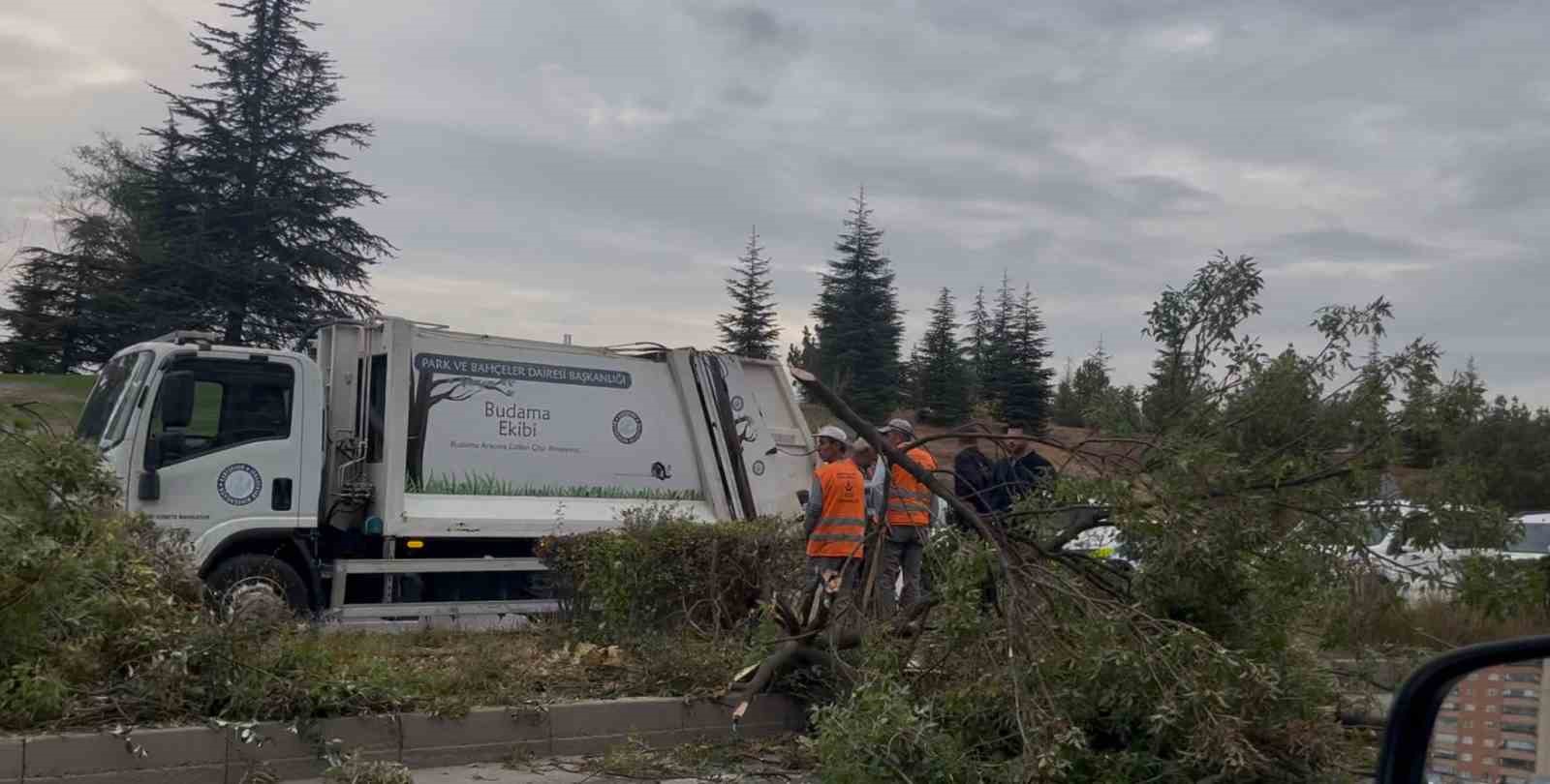 Kontrolden çıkan çöp kamyonu ağaçları yatırarak refüje çıktı