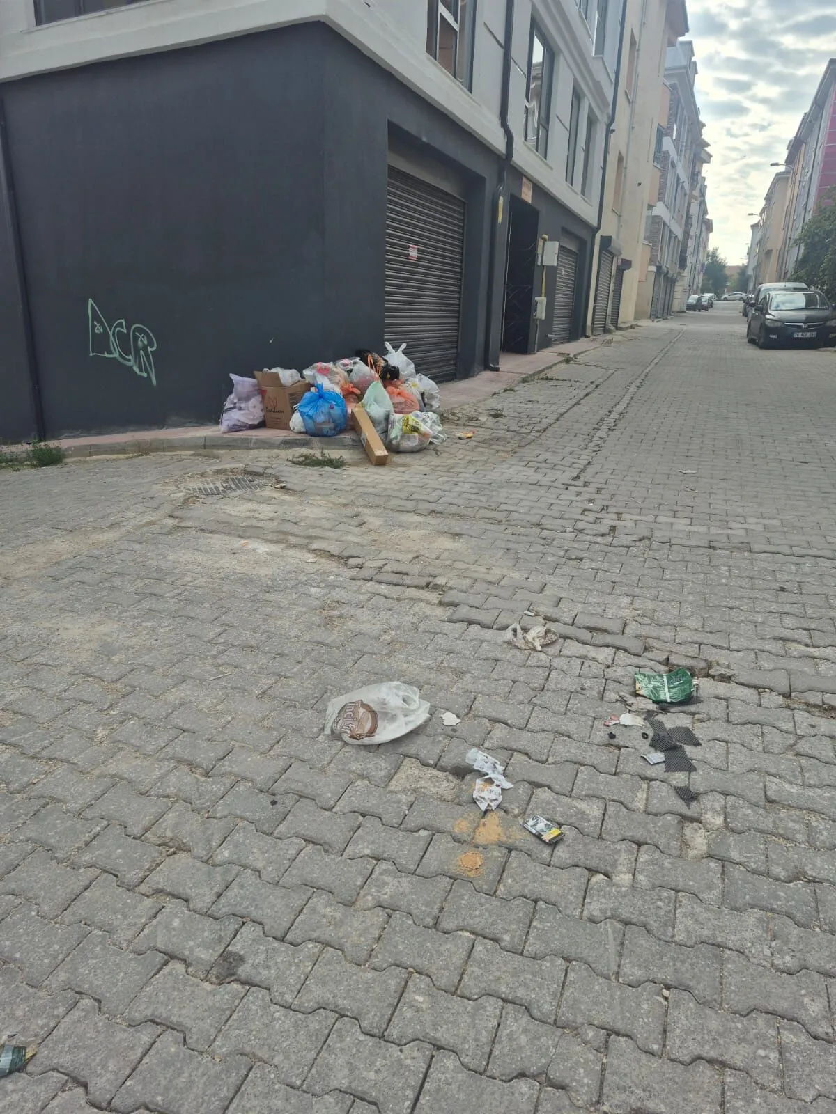 Eskişehir’in En Lüks Mahallesinde Çöp Krizi! Vatandaşlar Tepkili!