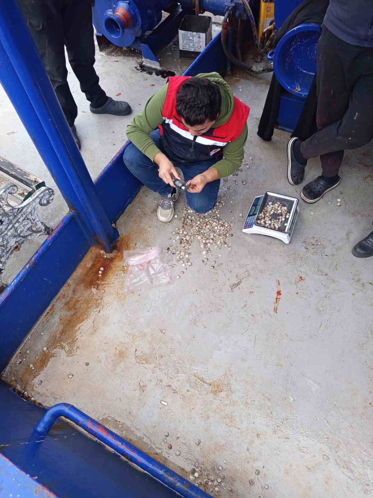 Kastamonu’da beyaz kum midyesi avcılığına yönelik denetimler sürüyor