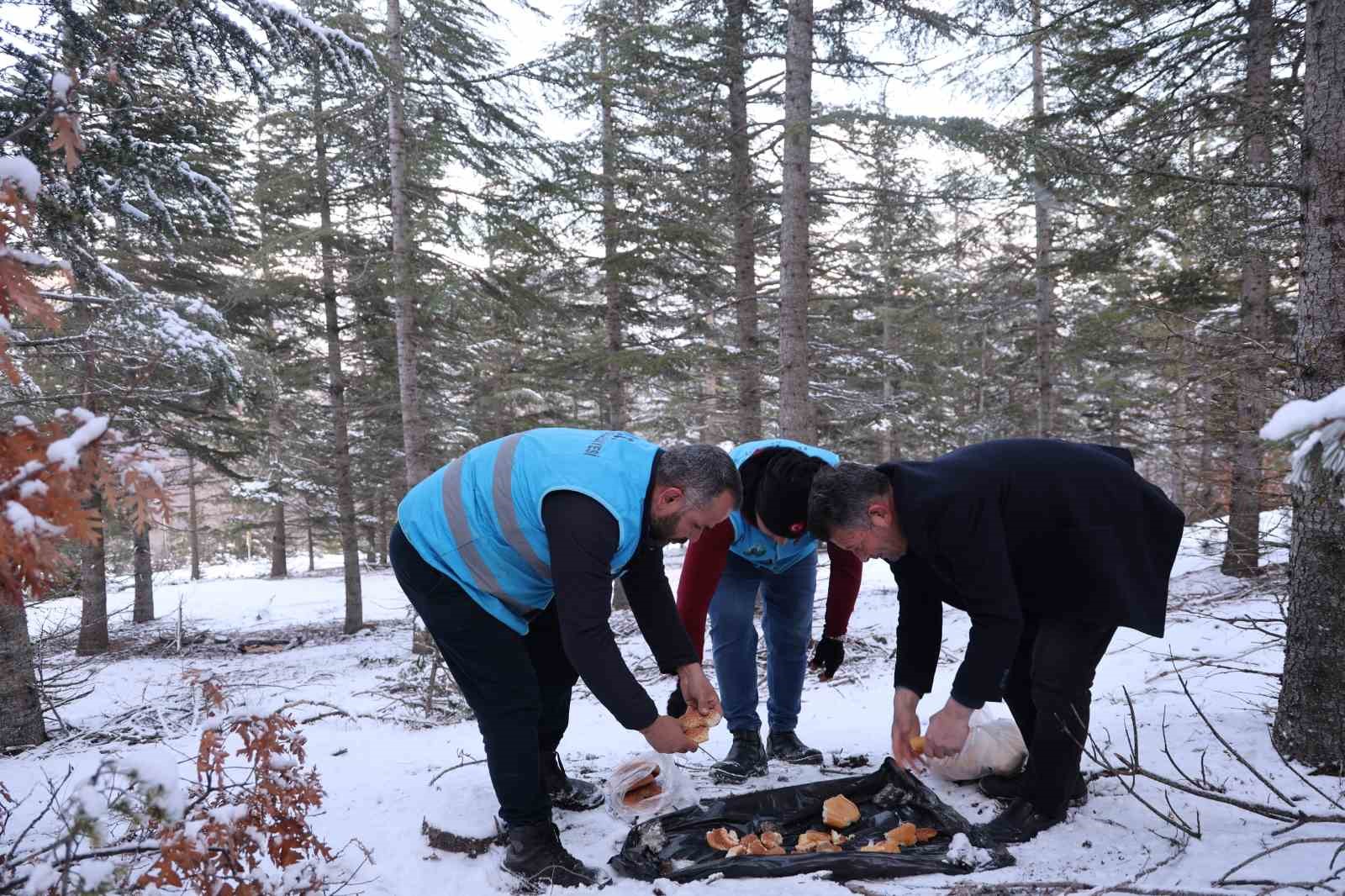 Karla kaplanan orman ve yaylalardaki canlılara şefkat eli
