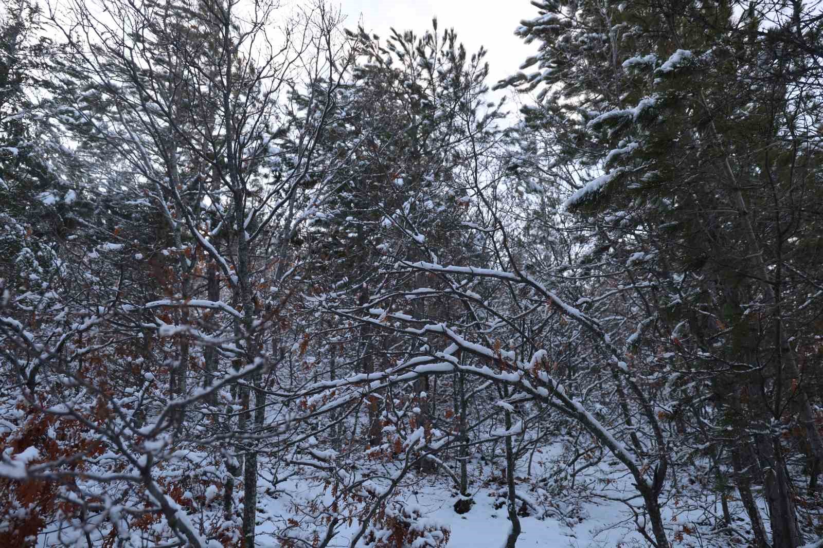 Karla kaplanan orman ve yaylalardaki canlılara şefkat eli