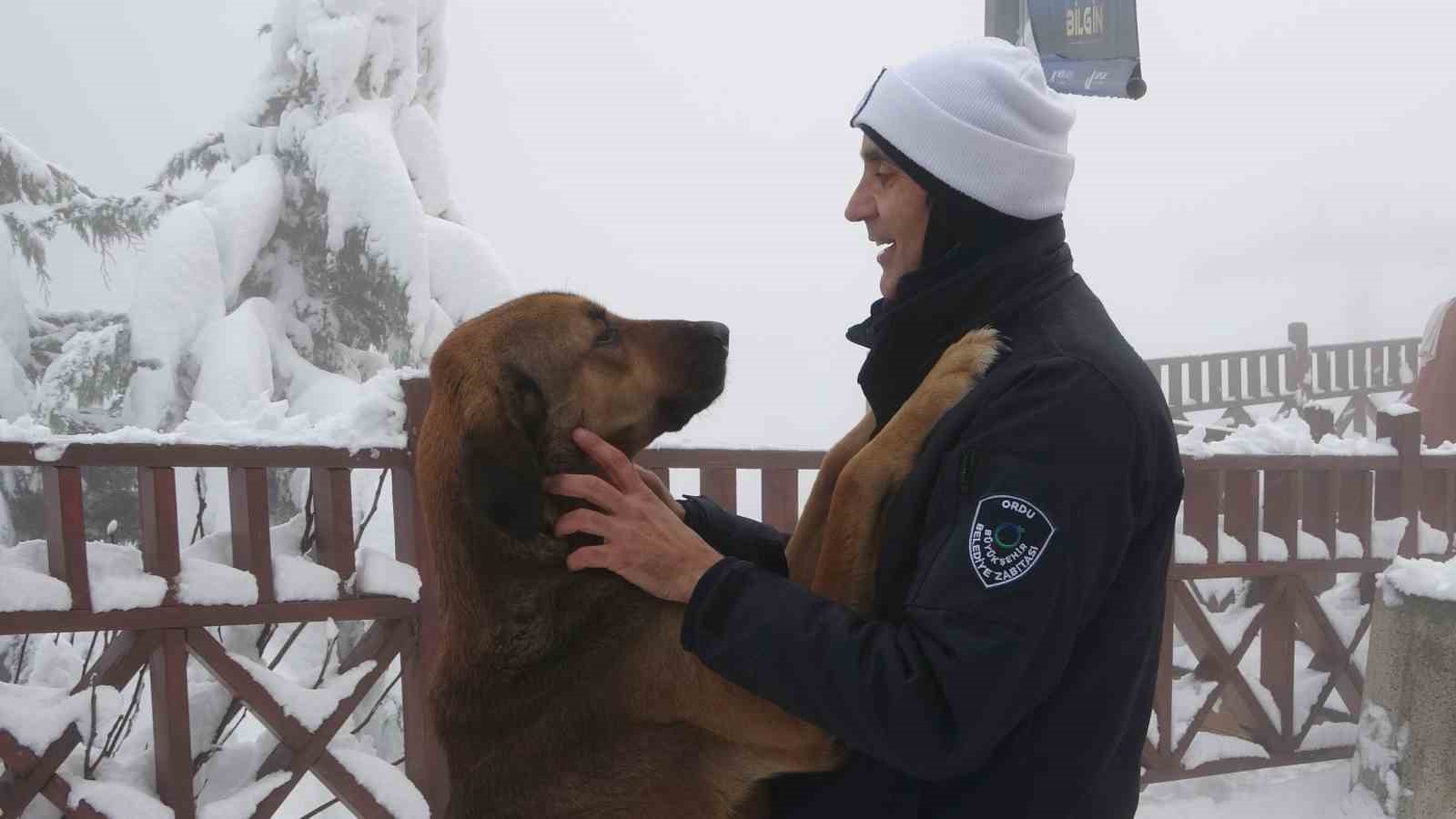 Ordu’nun ‘seyir terası’ Boztepe’de kar güzelliği