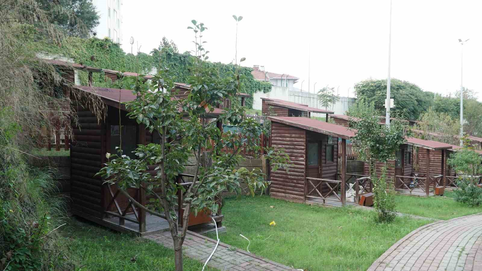 Kağıthane Belediyesi 2026 Hobi Bahçeleri için başvuruları başlattı