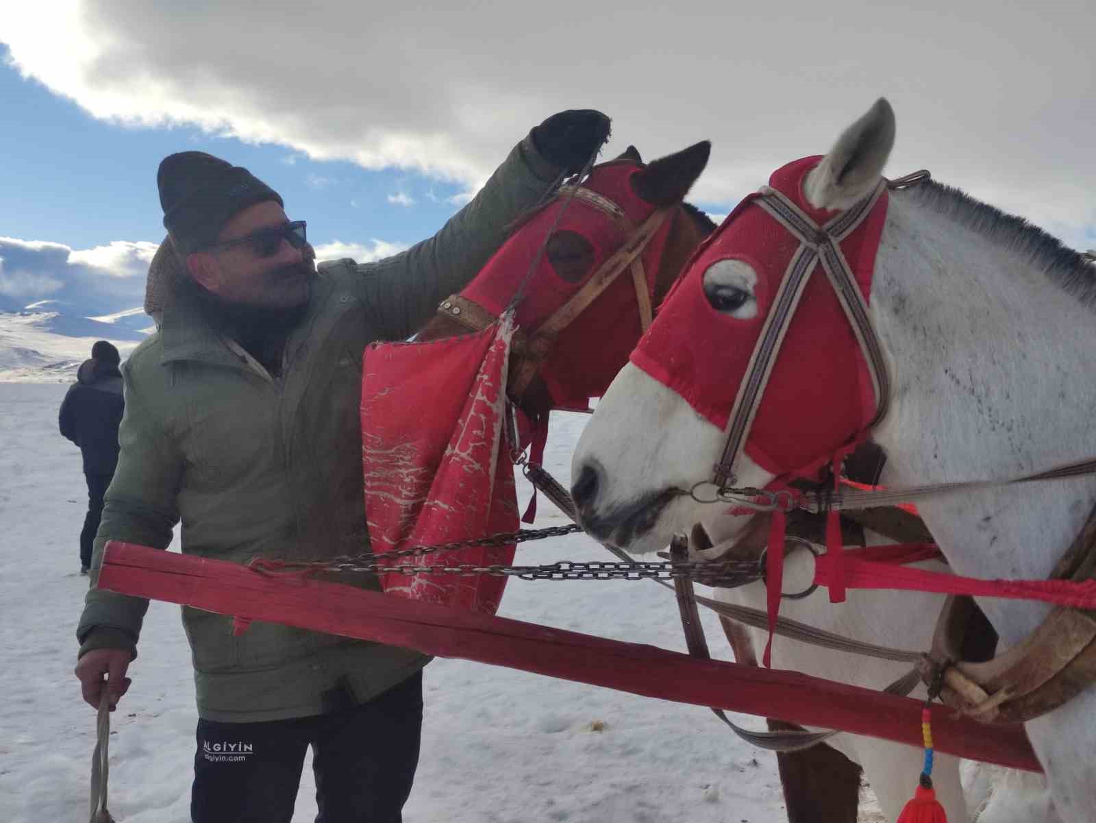 Çıldır Gölü’nde atlı kızak heyecanı başladı