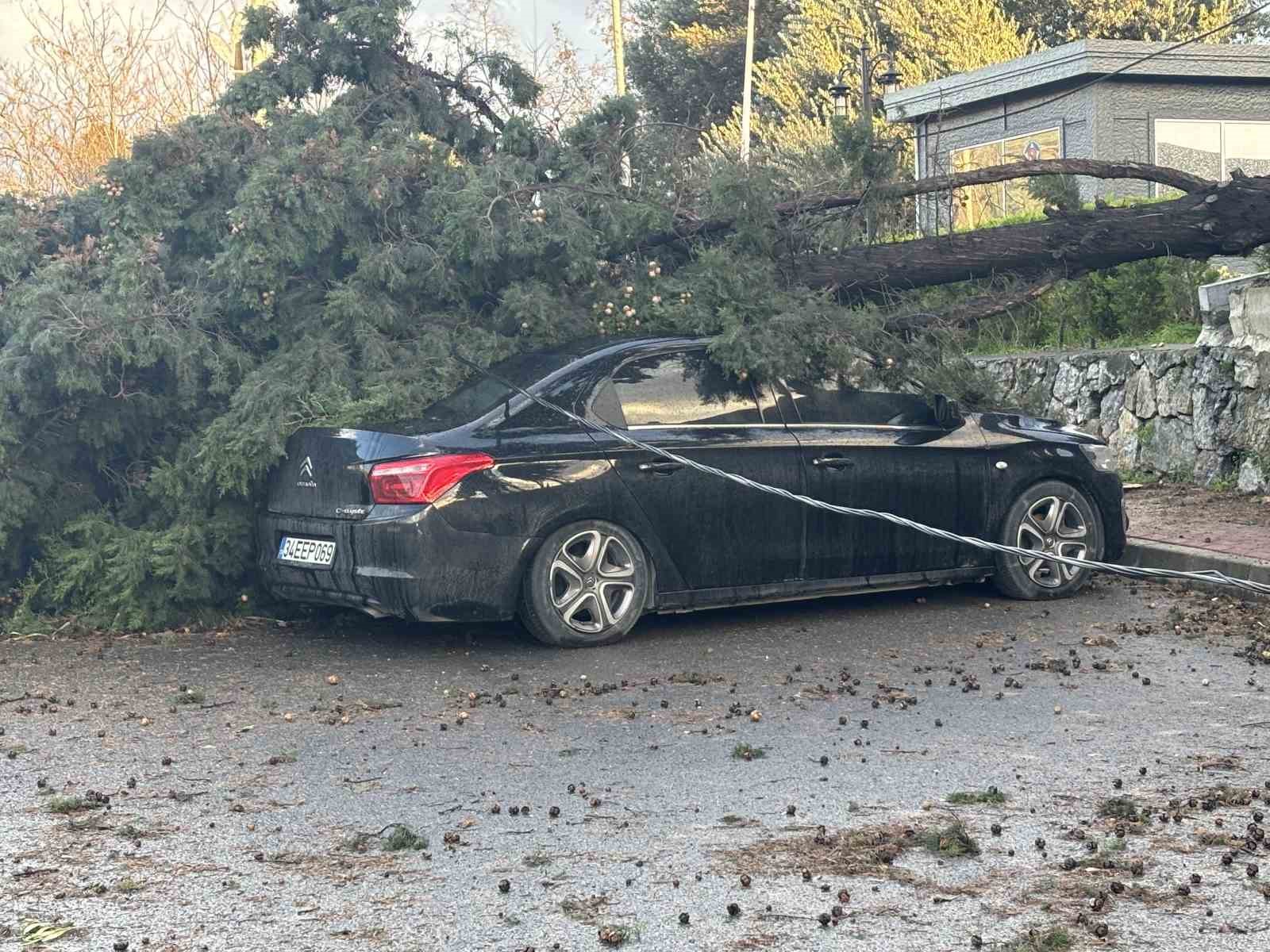 Gebze’de fırtınada iki otomobilin üzerine ağaç devrildi