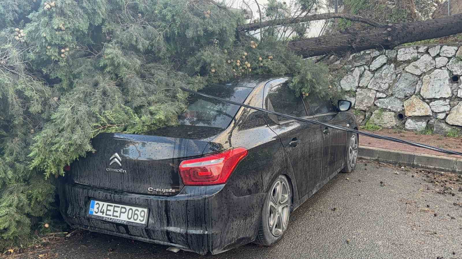 Gebze’de fırtınada iki otomobilin üzerine ağaç devrildi