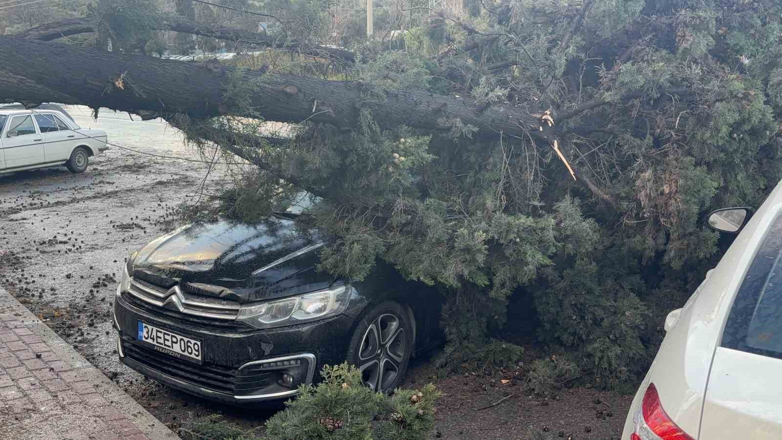 Gebze’de fırtınada iki otomobilin üzerine ağaç devrildi