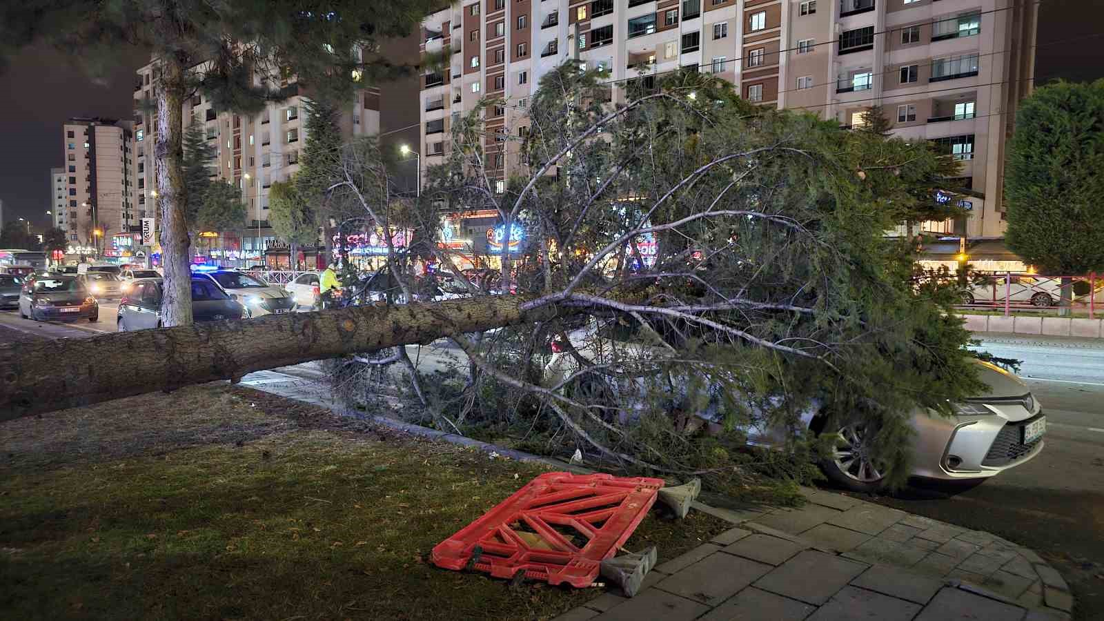 Kayseri’de kuvvetli rüzgar: Ağaç otomobilin üzerine devrildi