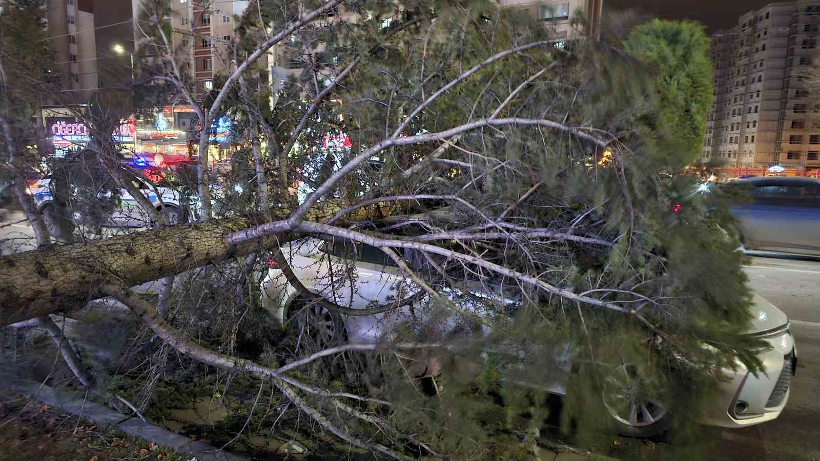 Kayseri’de kuvvetli rüzgar: Ağaç otomobilin üzerine devrildi