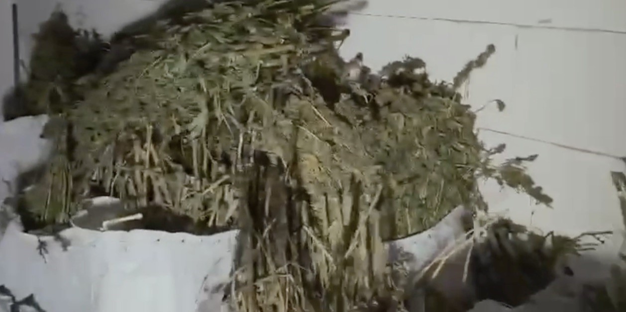 Eski fabrika binasını uyuşturucu imalathanesine çevirmiş: 130 kilo uyuşturucu ele geçirildi