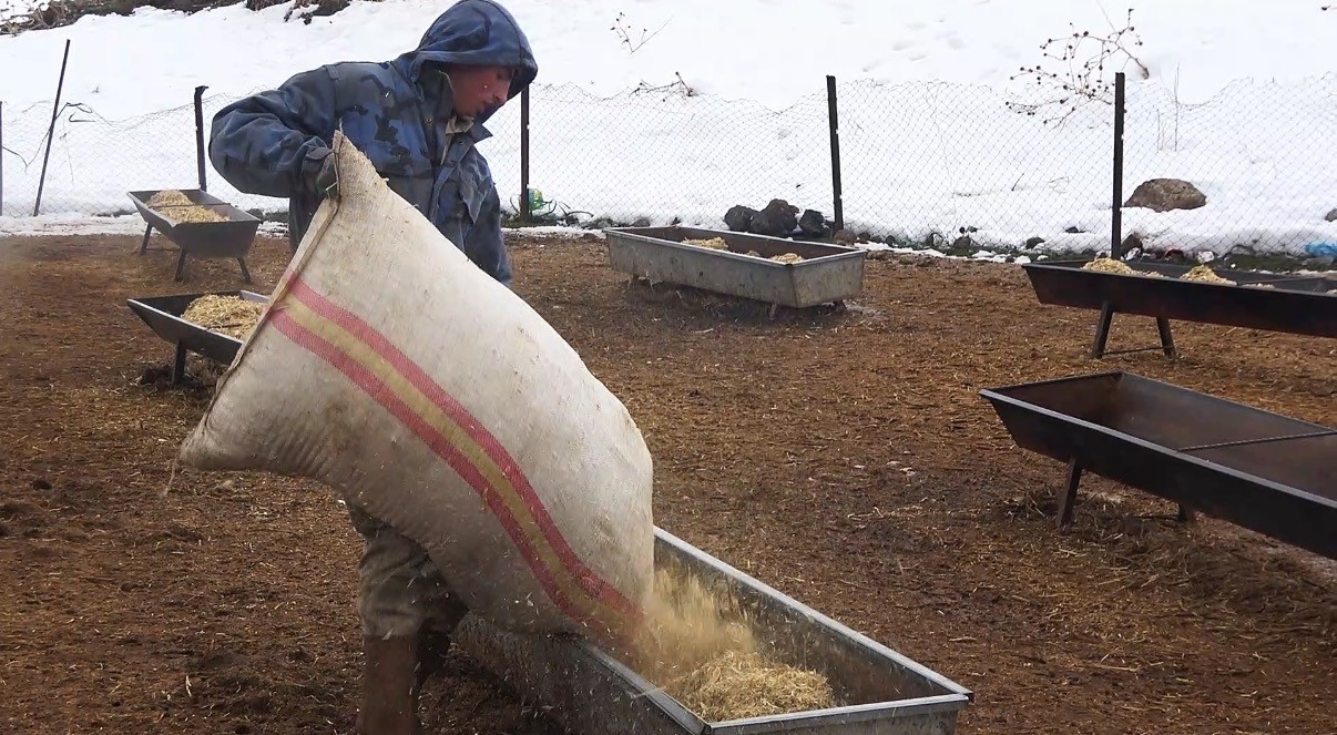 Tatvan’da yayladan besiye dönüş