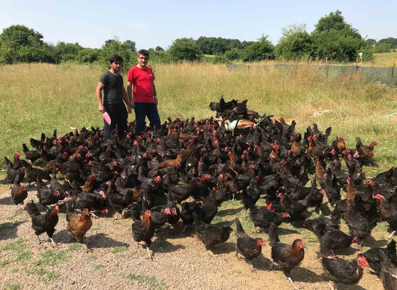 Üreticiye yüzde 50 hibeli tarımsal ve hayvansal destek