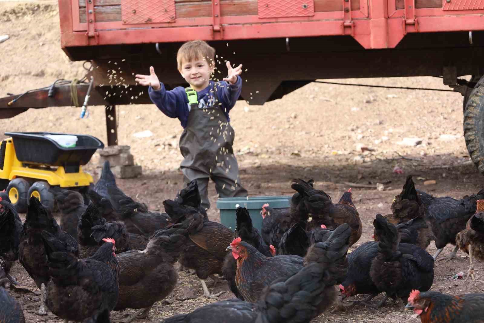 Üreticiye yüzde 50 hibeli tarımsal ve hayvansal destek