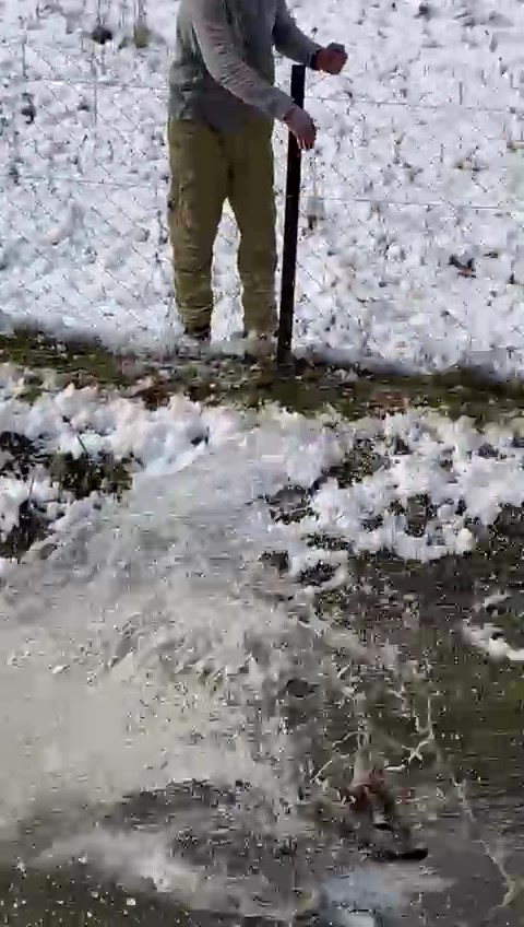 Amasya’da su kanalına düşen karacayı avcılar kurtardı