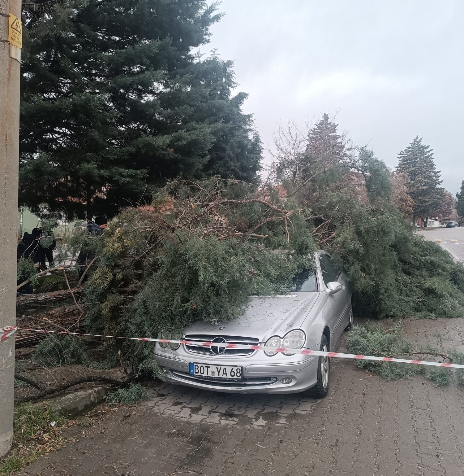 Gediz’de şiddetli rüzgar ağaçları devirdi, binalarda hasara sebep oldu